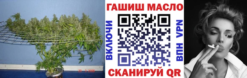 Дистиллят ТГК Wax MEGA Миньяр как найти