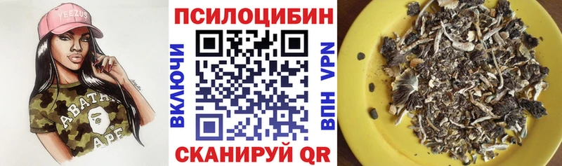 купить  сайты  Миньяр  Псилоцибиновые грибы Magic Shrooms 
